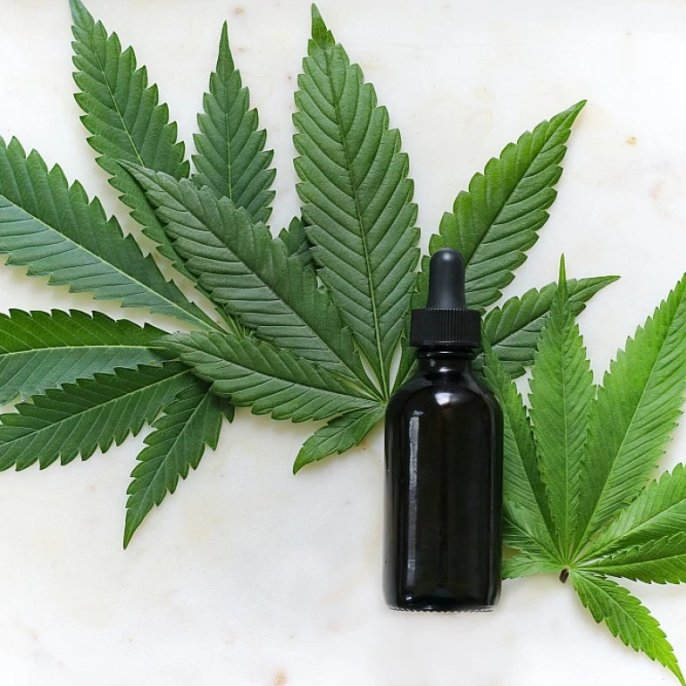 Fumer du cbd : tout ce que vous devez savoir